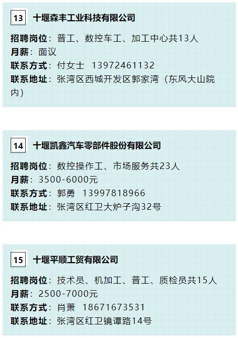 十堰最新司机招聘信息及其社会影响概述